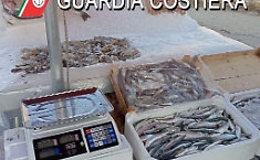 Operazione Fish: 112 tonnellate di pesce sequestrate e sanzioni