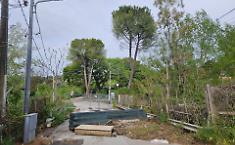 Un ponte, l'ennesimo, che rischia di crollare in Sicilia: prevista la demolizione e la ricostruzione con una struttura in acciaio