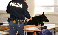 La Polizia ha effettuato controlli antidroga in tre istituti superiori tra citt&agrave; e provincia, due minori denunciati