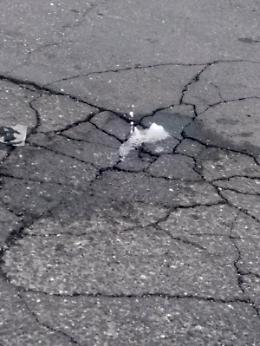 Catania: da 5 giorni si perde acqua preziosa in via M. di Savoia