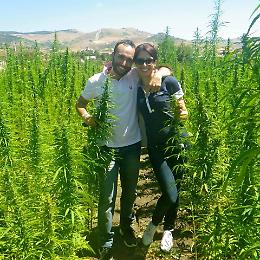 Cannabis medica, azienda siciliana: «In Italia tanto da fare tra caos normativo e caccia alle streghe di Salvini»