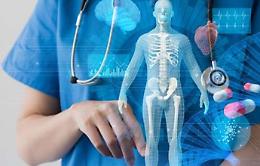 Nasce a Catania il paziente virtuale che evita i test sugli animali: simula anche gli effetti del Covid