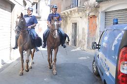 Catania, sei cavalli tenuti tra i rifiuti e al buio: salvati dalla Polizia