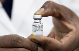 Coronavirus, l'Europa accelera sul vaccino di Pfizer: prime dosi entro il 2020