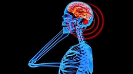 «L'uso dei cellulari può provocare tumori», una sentenza riapre il dibattito