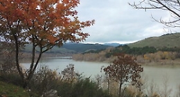 Blitz mafia dei Nebrodi, la denuncia della vittima che chiedeva protezione al boss