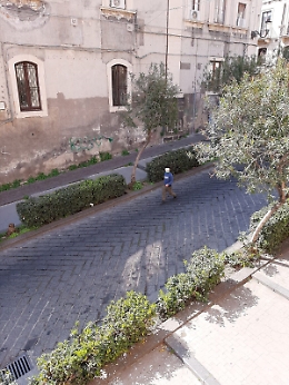 catania: parcheggiatore abusivo circola indisturbato