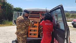 Coronavirus, ancora donazioni alla Croce Rossa di Licata