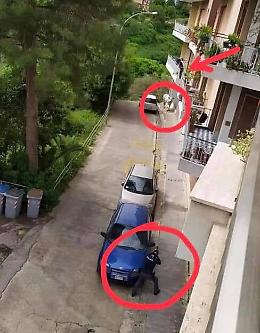 Mucca uccisa a Ragusa, Lav: «Bastava poco per salvarla»