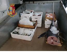 Vendita abusiva, sequestrati 70 chili di pesce alla Vucciria
