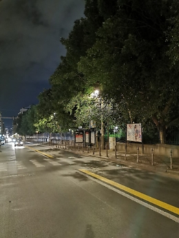 Catania, via Etnea: lampioni oscurati dagli alberi