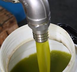 Corrao (M5S): «A Palermo giunte 800 tonnellate di olio tunisino senza dazi, l'Ue faccia luce»