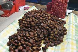 Castagne, il metodo infallibile per sbucciarle alla perfezione