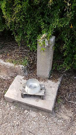 Acqua assente nell'area cani di Villa Trabia a Palermo