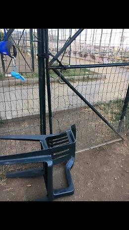 Catania, Piazzale Cannavò: area cani in totale abbandono