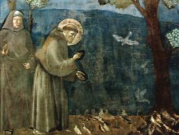 La giornata mondiale degli animali
nel giorno di San Francesco d'Assisi