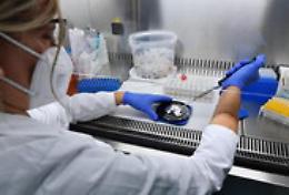 Covid, il bollettino del 27 ottobre: in Sicilia 282 nuovi casi, 6 morti e ricoveri stabili