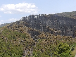 Incendi, imprenditore vuole &ldquo;adottare&rdquo; il bosco di Chiaramonte andato in fumo