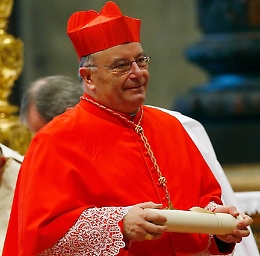 &laquo;Ci commuoviamo per animali che soffrono, ma non per gli uomini&raquo;