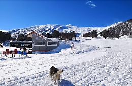 Etna Nord, ora c'è abbastanza neve: 
ok seggiovia e skilift, si può sciare