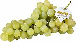 Crisi Uva da Tavola: il comparto si riunisce