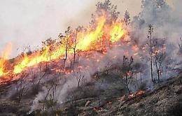 Incendi nel Messinese: evacuate case a San Saba