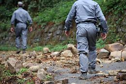 Forestali, presto concorso per assunzioni in Sicilia: Ars approva la norma