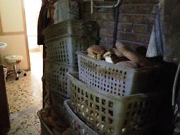 Ortaggi in sacchi sigillati ma custoditi in bagno: scatta multa di 2000 euro