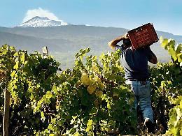 Etna mania: tutto il mondo guarda il vino del vulcano