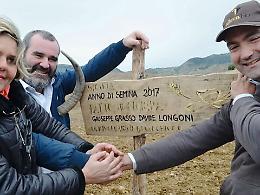 E il fornaio di Milano semina il grano antico col contadino catanese grazie al "patto di filiera"