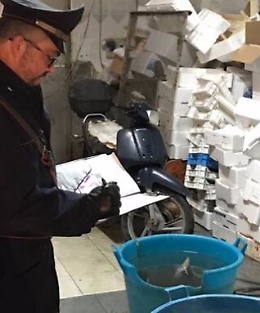 Pesce scaduto e carenze igieniche al mercato ittico di Ortigia