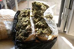Dalla Puglia a Ragusa con 5 chili di marijuana: arrestate tre donne corriere