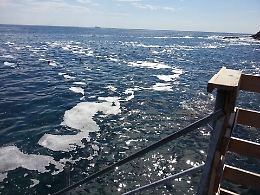 «Il mare della Sicilia orientale non è tutelato, ad Augusta scarica in mare anche l'ospedale»