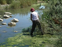 Ferragosto nella Riserva dell&rsquo;Imera: quattro giorni di eventi naturalistici