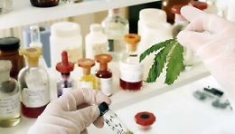 Farmaci a base di cannabinoidi in uso all' Asp di Ragusa