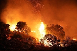 Torna il fuoco nella pineta di Chiaramonte Gulfi