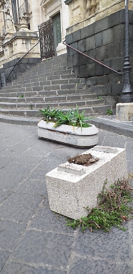 Catania: scempio vandalico delle fioriere in via Crociferi