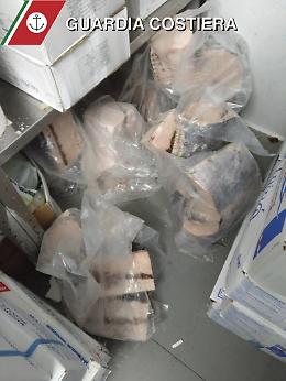 Pesce congelato e privo di tracciabilità: era destinato a ristoranti di Ognina