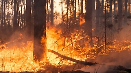 La Regione si prepara per la stagione degli incendi con 10 elicotteri e 90 droni