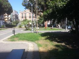 Catania, Piazza Jolanda: cani a spasso senza rispetto per le regole di sicurezza