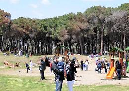 Catania, l’appello per salvare il boschetto della Plaia dai privati