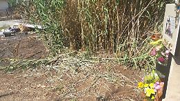 Rifiuti sulla stele di Loris Stival il Comune ripulisce lo scempio