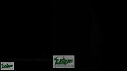 Progetto di virtualizzazione dell'ipogeo romano di Crispia Salvia a Marsala