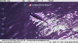 All'Elba una balenottera di 20 metri: è partita una settimana fa da Lampedusa