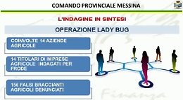 Mafia dei Nebrodi, arrestato imprenditore coinvolto in frode su fondi pubblici