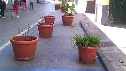 Catania: strisce blu occupate da...fioriere