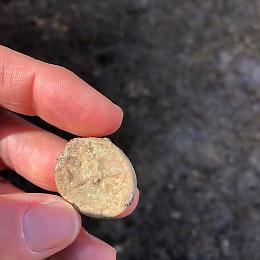 Antica moneta romana in bronzo riemerge da scavi nel Nisseno