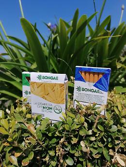 Catania, la Gdf chiude il sito Bongae che vendeva sigarette alla canapa