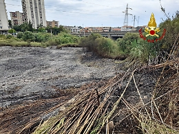 Catania, bruciano canneto e sterpaglie a Librino: vigili del fuoco al lavoro