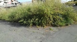 Catania: sterpaglie a rischio incendio in via Mandr&agrave;